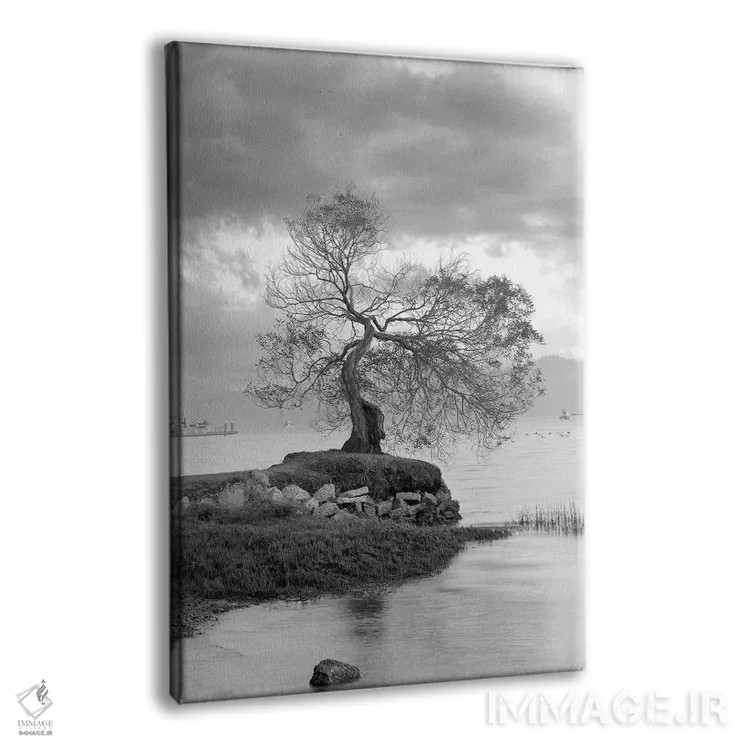 تابلو مجموعه بلوط ساحلی I اثر آلن بلاوشتاین - نمای پرسپکتیو محصول