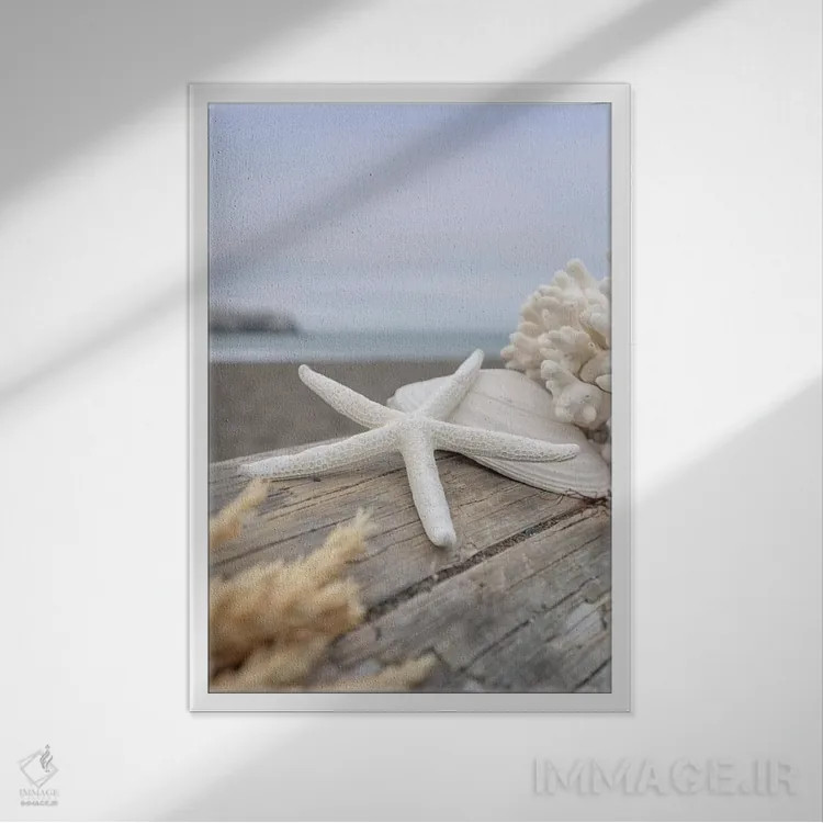 تابلو صدفهای ساحل هلالی XIII اثر آلن بلاوشتاین - نمای قابدار سفید