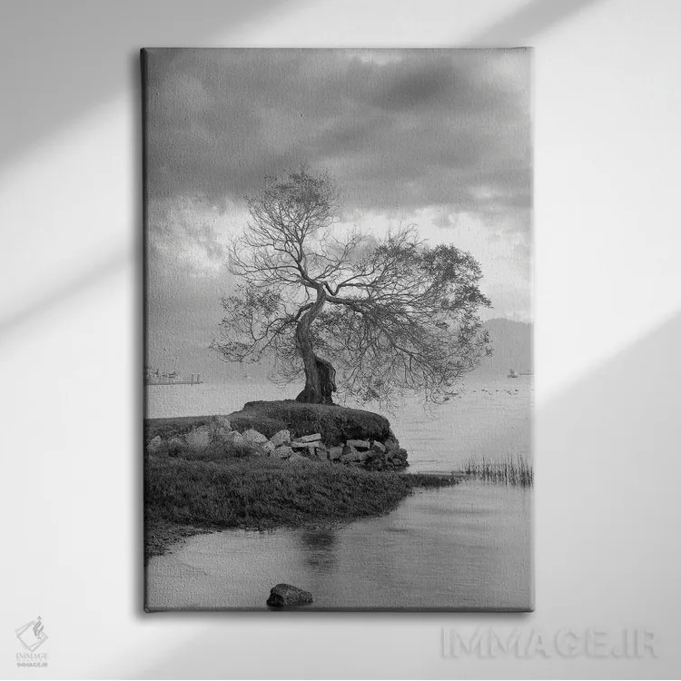 تابلو مجموعه بلوط ساحلی I اثر آلن بلاوشتاین - نمای روبهرو روی دیوار