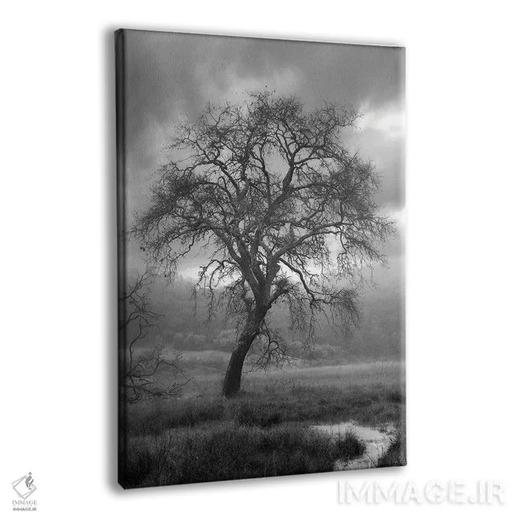 تابلو مجموعه بلوط ساحلی XIII اثر آلن بلاوشتاین - نمای پرسپکتیو محصول