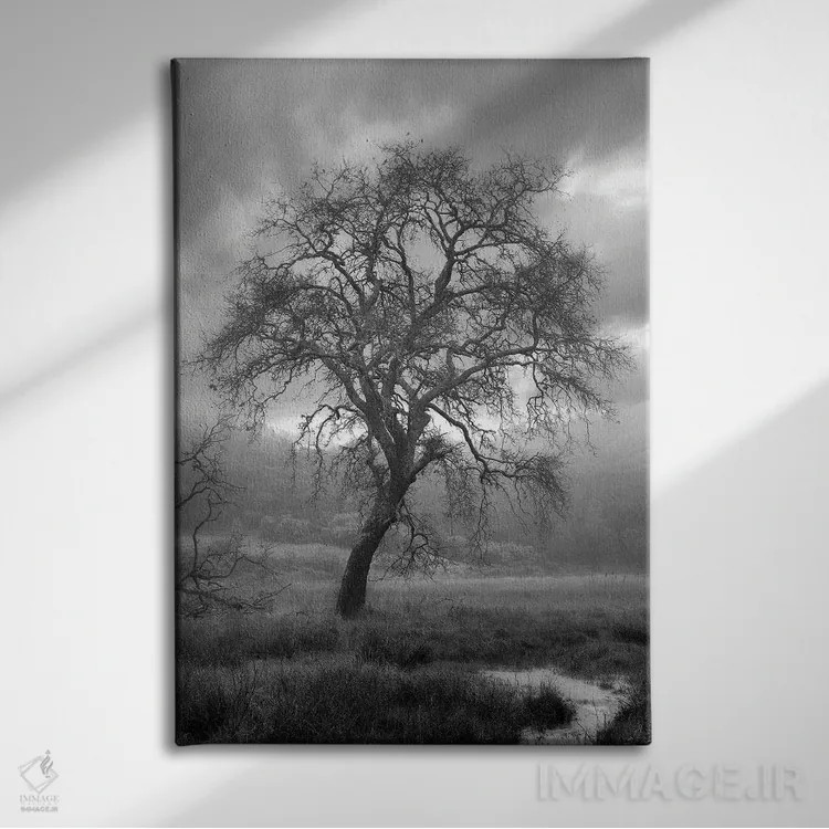 تابلو مجموعه بلوط ساحلی XIII اثر آلن بلاوشتاین - نمای روبهرو روی دیوار