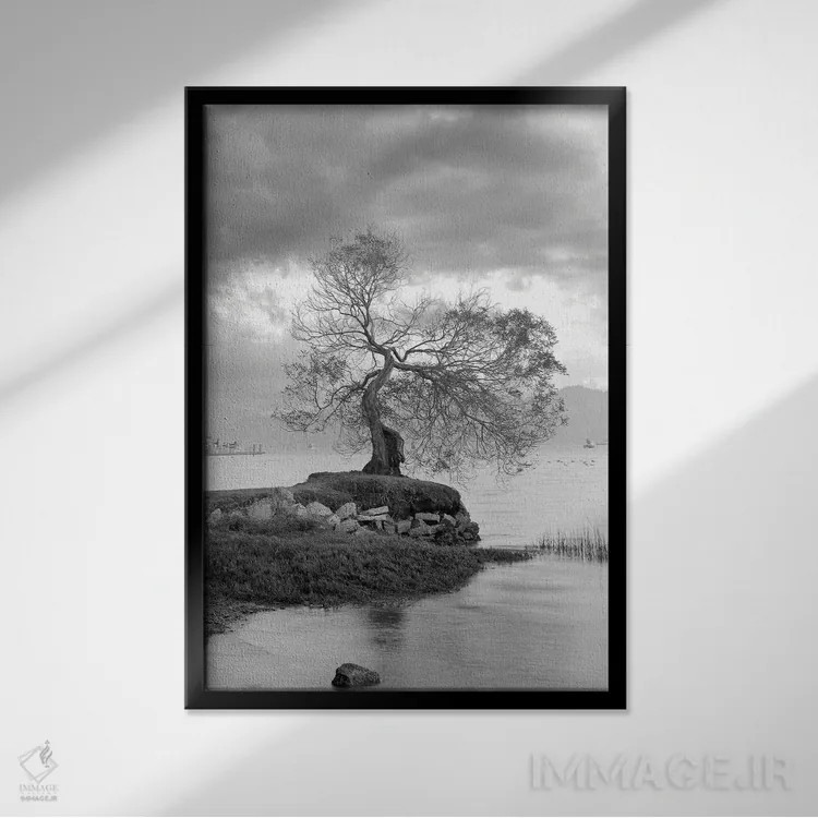 تابلو مجموعه بلوط ساحلی I اثر آلن بلاوشتاین - نمای قابدار مشکی