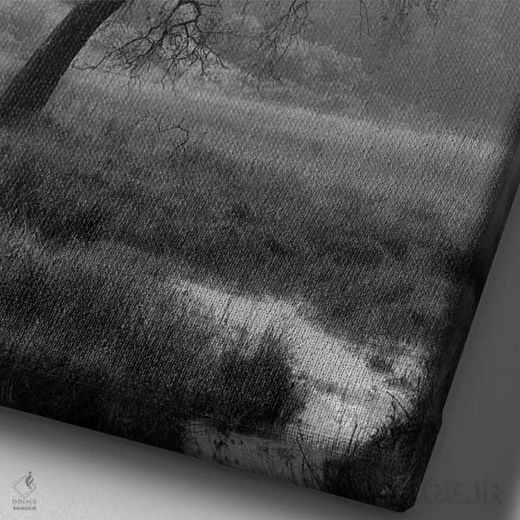 تابلو مجموعه بلوط ساحلی XIII اثر آلن بلاوشتاین - نمای نزدیک بافت بوم