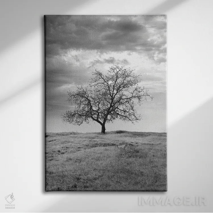 تابلو مجموعه بلوط ساحلی XXIII اثر آلن بلاوشتاین - نمای روبهرو روی دیوار