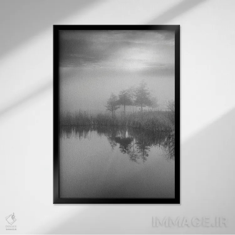 تابلو مجموعه بلوط ساحلی XLIV اثر آلن بلاوشتاین - نمای قابدار مشکی