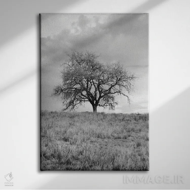 تابلو مجموعه بلوط ساحلی XXVI اثر آلن بلاوشتاین - نمای روبهرو روی دیوار