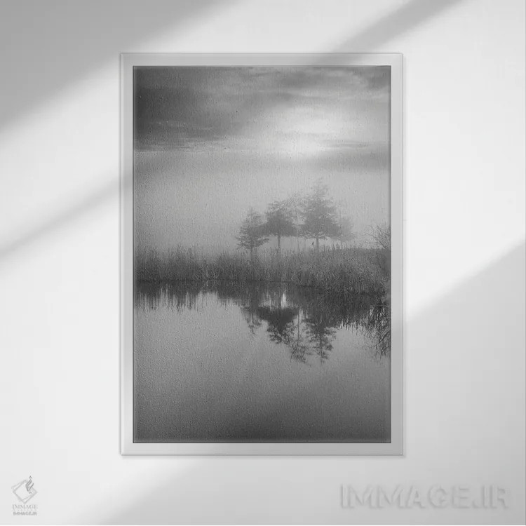 تابلو مجموعه بلوط ساحلی XLIV اثر آلن بلاوشتاین - نمای قابدار سفید