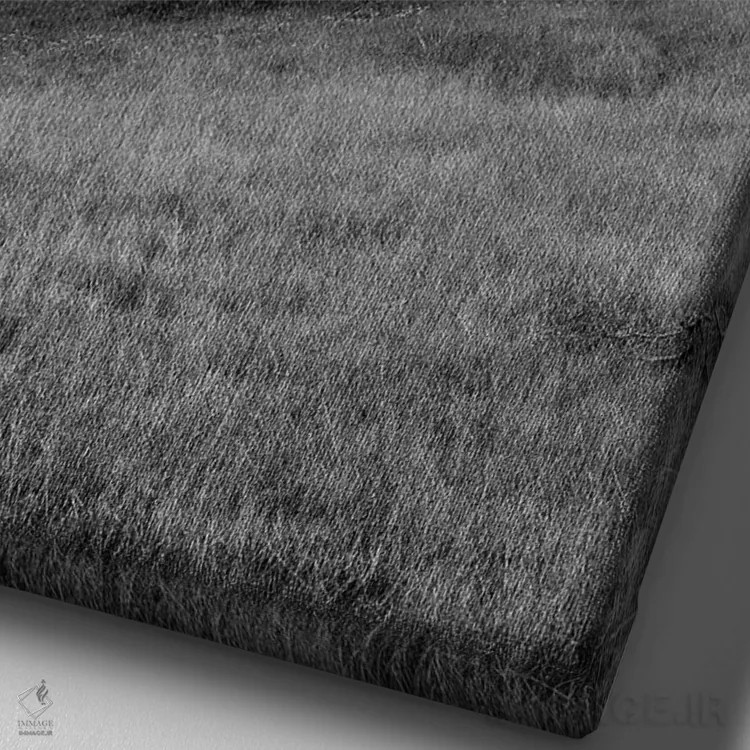 تابلو مجموعه بلوط ساحلی XVII اثر آلن بلاوشتاین - نمای نزدیک بافت بوم