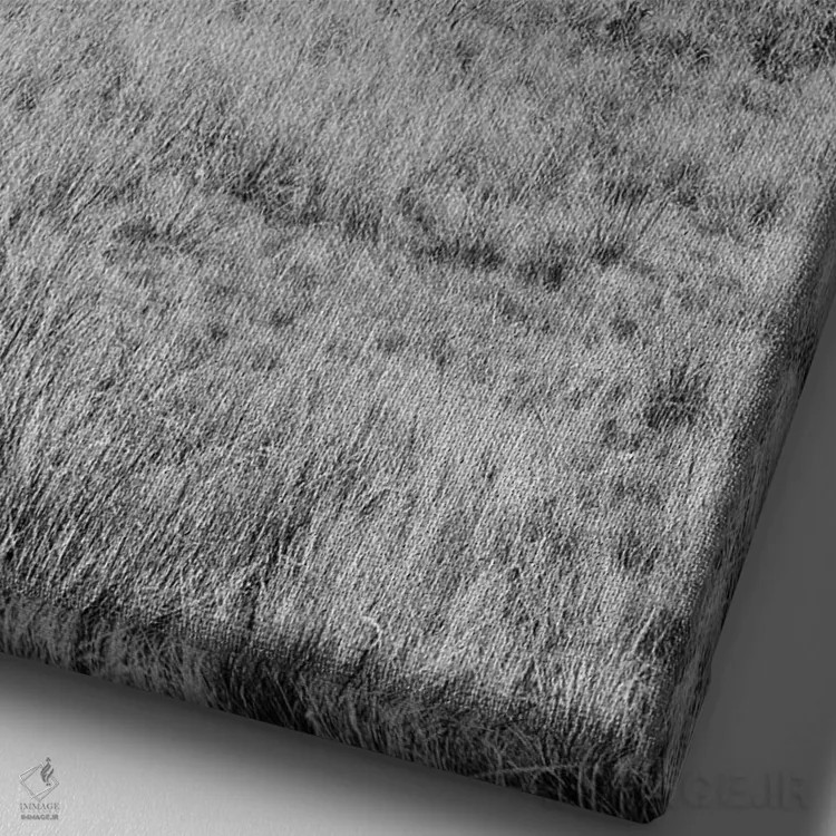 تابلو مجموعه بلوط ساحلی XXVI اثر آلن بلاوشتاین - نمای نزدیک بافت بوم