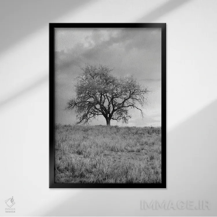 تابلو مجموعه بلوط ساحلی XXVI اثر آلن بلاوشتاین - نمای قابدار مشکی