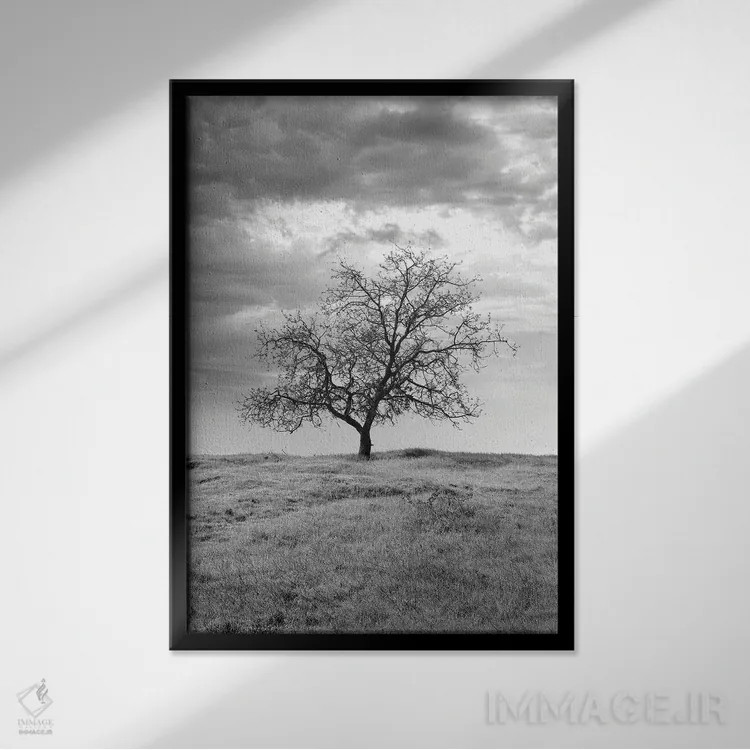 تابلو مجموعه بلوط ساحلی XXIII اثر آلن بلاوشتاین - نمای قابدار مشکی