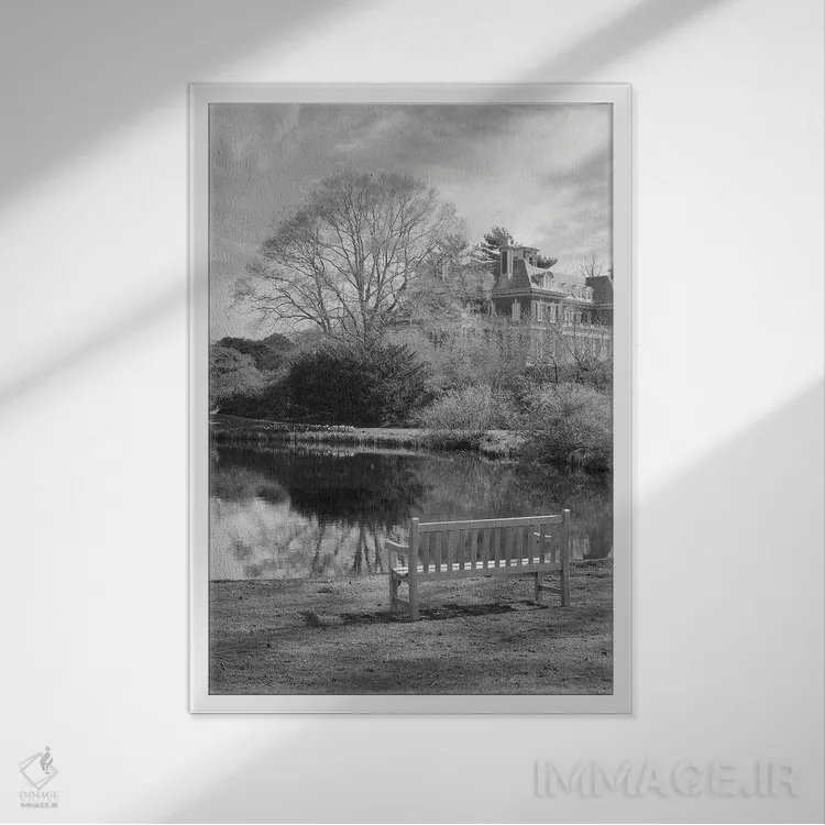 تابلو مجموعه بلوط ساحلی LXIII اثر آلن بلاوشتاین - نمای قابدار سفید