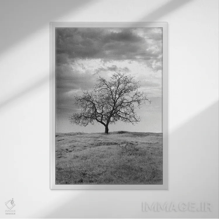 تابلو مجموعه بلوط ساحلی XXIII اثر آلن بلاوشتاین - نمای قابدار سفید