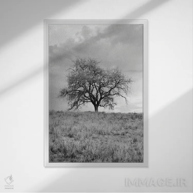 تابلو مجموعه بلوط ساحلی XXVI اثر آلن بلاوشتاین - نمای قابدار سفید