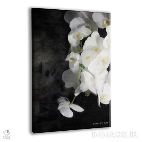تابلو ارکیدههای سفید مدرن اثر بلوبرد بارن (استودیوی هنری) - نمای پرسپکتیو محصول