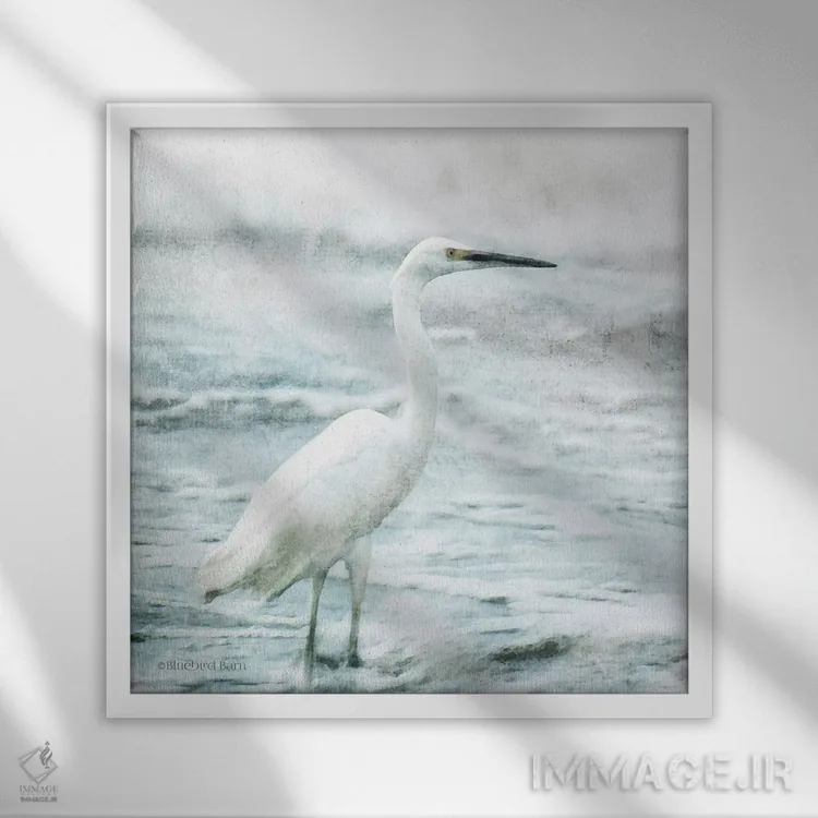 تابلو حواصیل ساحلی اثر بلوبرد بارن (استودیوی هنری) - نمای قابدار سفید