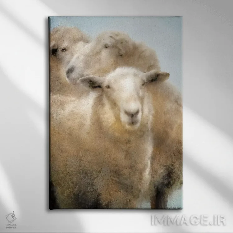تابلو پرتره سه گوسفند اثر بلوبرد بارن (استودیوی هنری) - نمای روبهرو روی دیوار