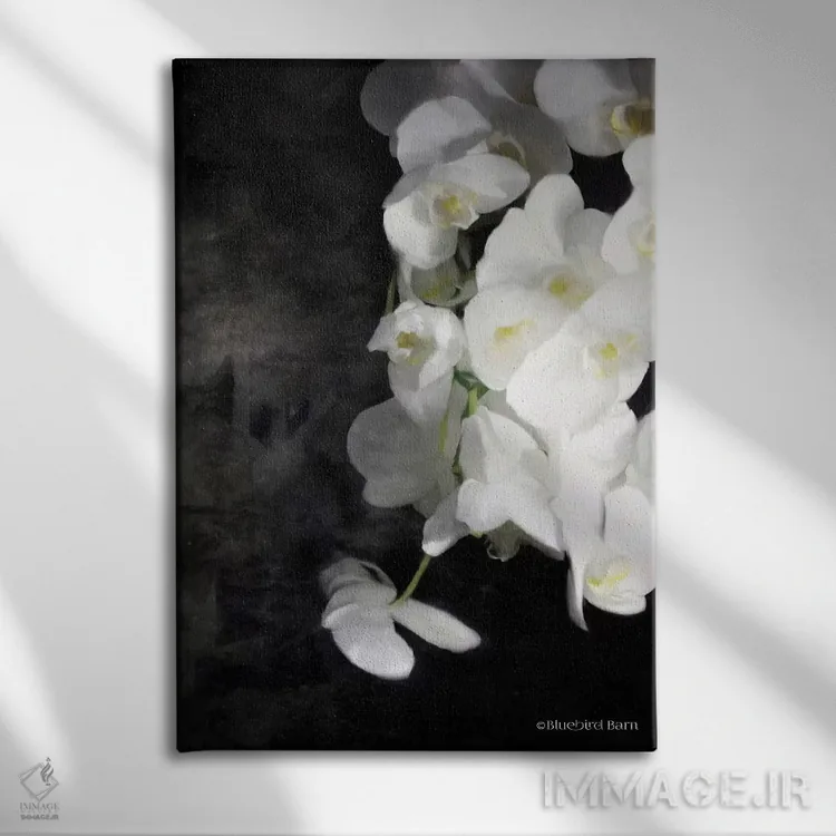 تابلو ارکیدههای سفید مدرن اثر بلوبرد بارن (استودیوی هنری) - نمای روبهرو روی دیوار