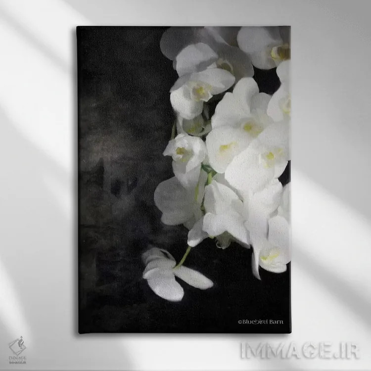 تابلو ارکیدههای سفید مدرن اثر بلوبرد بارن (استودیوی هنری) - نمای روبهرو روی دیوار