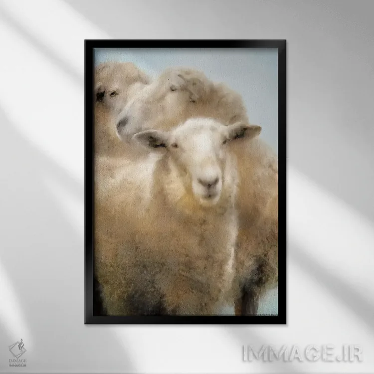 تابلو پرتره سه گوسفند اثر بلوبرد بارن (استودیوی هنری) - نمای قابدار مشکی
