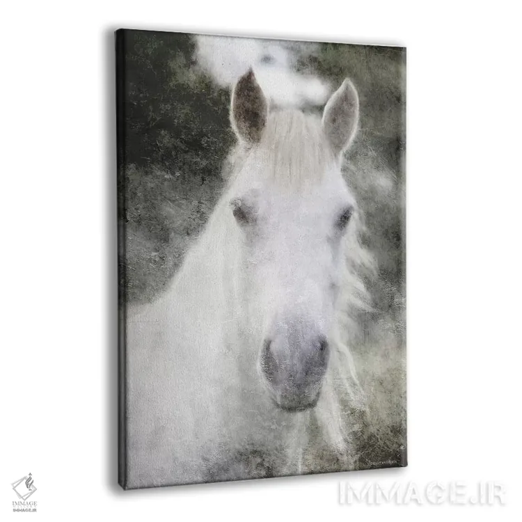 تابلو راز اسب سفید اثر بلوبرد بارن (استودیوی هنری) - نمای پرسپکتیو محصول