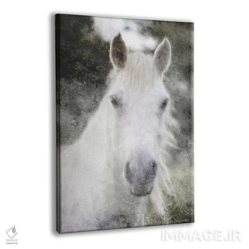 تابلو راز اسب سفید اثر بلوبرد بارن (استودیوی هنری) - نمای پرسپکتیو محصول