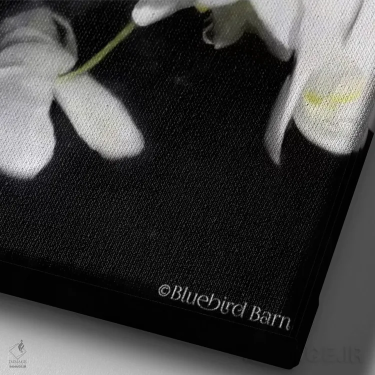 تابلو ارکیدههای سفید مدرن اثر بلوبرد بارن (استودیوی هنری) - نمای نزدیک بافت بوم