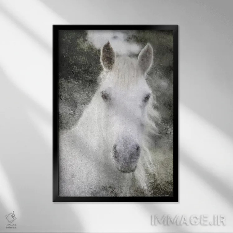 تابلو راز اسب سفید اثر بلوبرد بارن (استودیوی هنری) - نمای قابدار مشکی