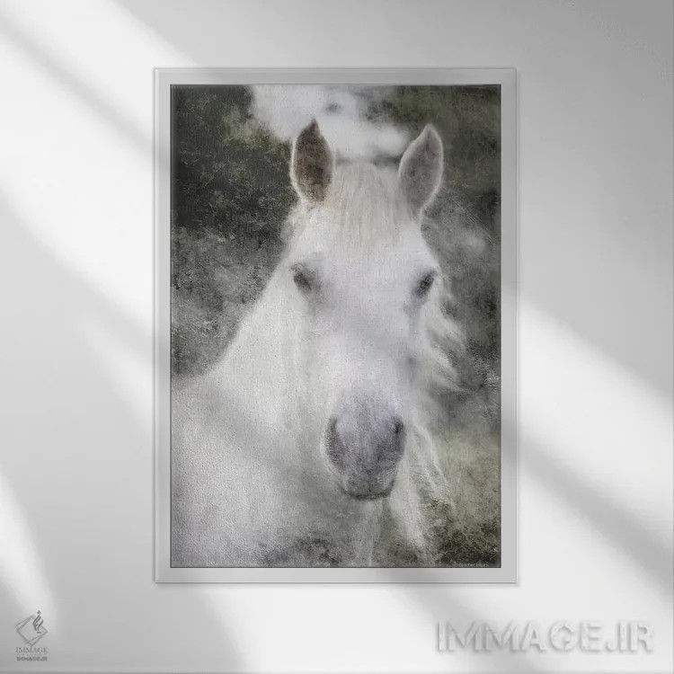 تابلو راز اسب سفید اثر بلوبرد بارن (استودیوی هنری) - نمای قابدار سفید