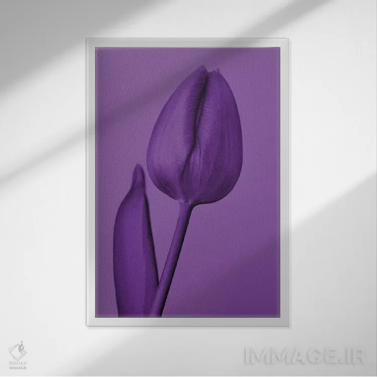 تابلو یک لاله به رنگ بنفش اثر بلی - نمای قابدار سفید