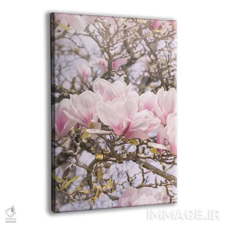 تابلو مگنولیای شکوفا در مونمارتر پاریس (فرانسه) اثر بلی - نمای پرسپکتیو محصول