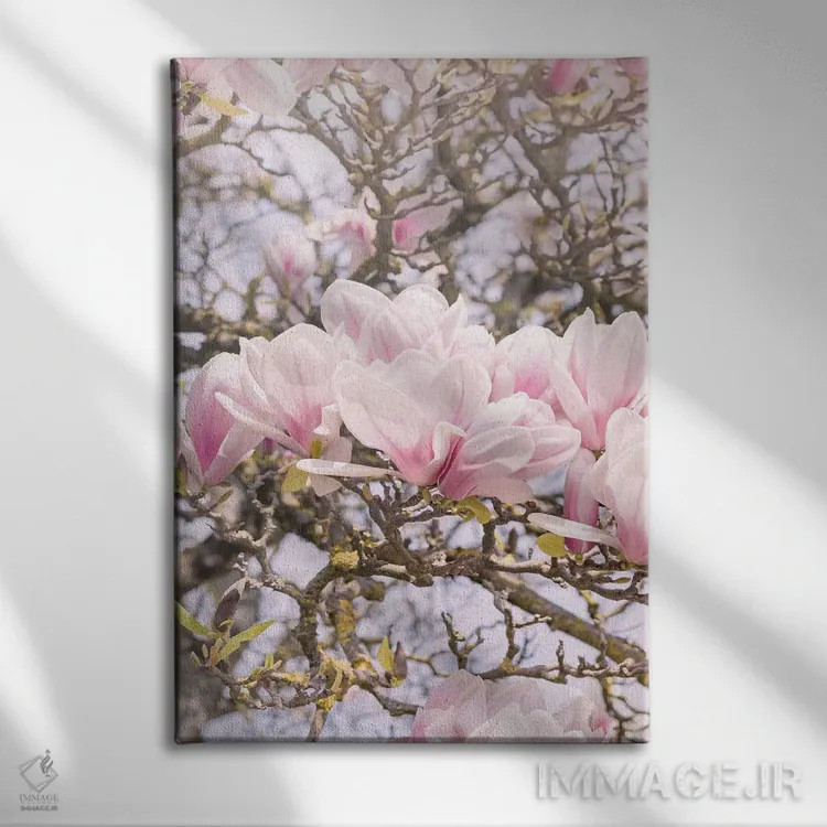تابلو مگنولیای شکوفا در مونمارتر پاریس (فرانسه) اثر بلی - نمای روبهرو روی دیوار