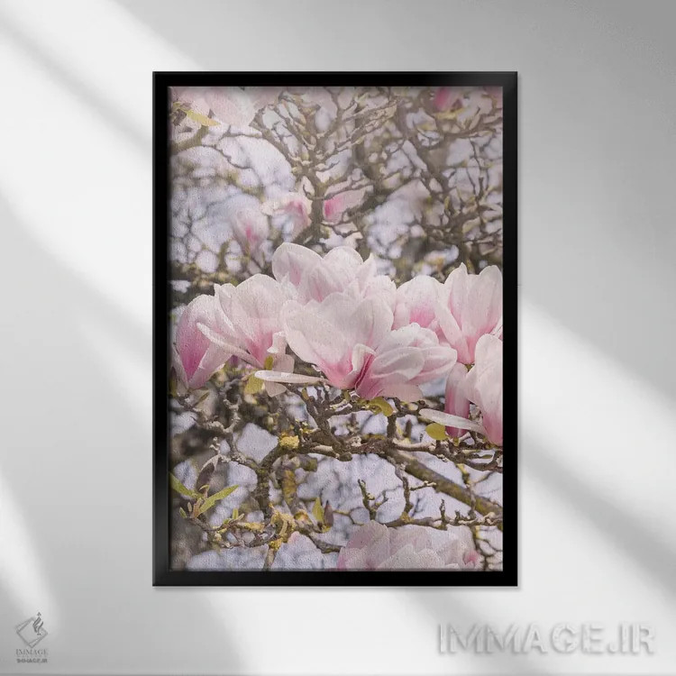 تابلو مگنولیای شکوفا در مونمارتر پاریس (فرانسه) اثر بلی - نمای قابدار مشکی