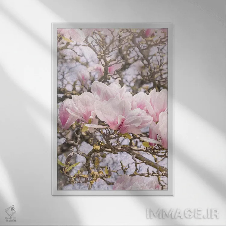 تابلو مگنولیای شکوفا در مونمارتر پاریس (فرانسه) اثر بلی - نمای قابدار سفید