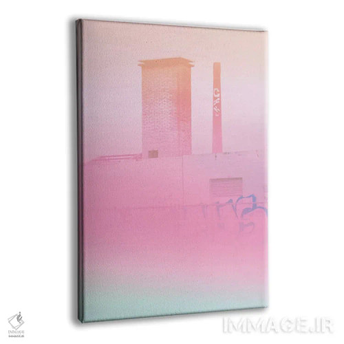 تابلو گلهای بتنی و گرافیتی اثر بلی - نمای پرسپکتیو محصول