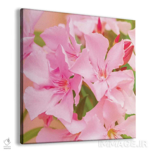 تابلو شور و نشاط اثر بلی - نمای پرسپکتیو محصول