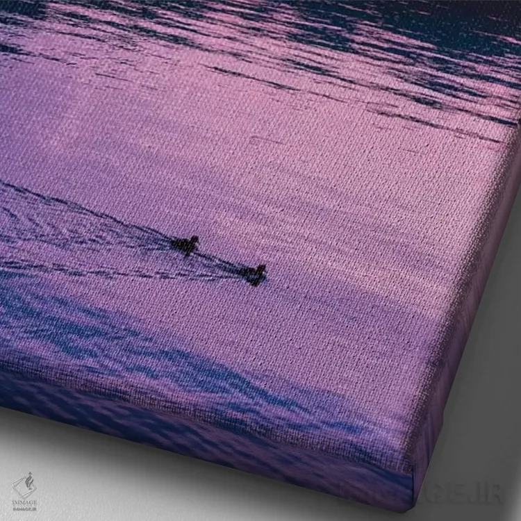 تابلو غروب و اردکها اثر بلی - نمای نزدیک بافت بوم