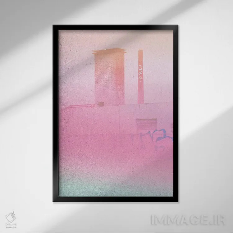 تابلو گلهای بتنی و گرافیتی اثر بلی - نمای قابدار مشکی