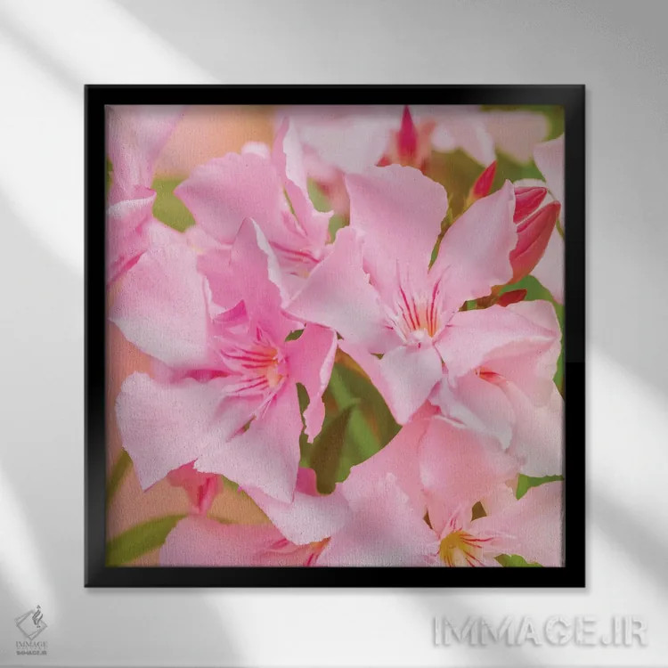 تابلو شور و نشاط اثر بلی - نمای قابدار مشکی