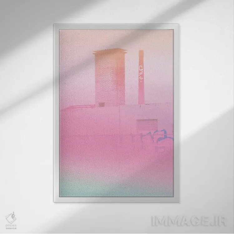 تابلو گلهای بتنی و گرافیتی اثر بلی - نمای قابدار سفید