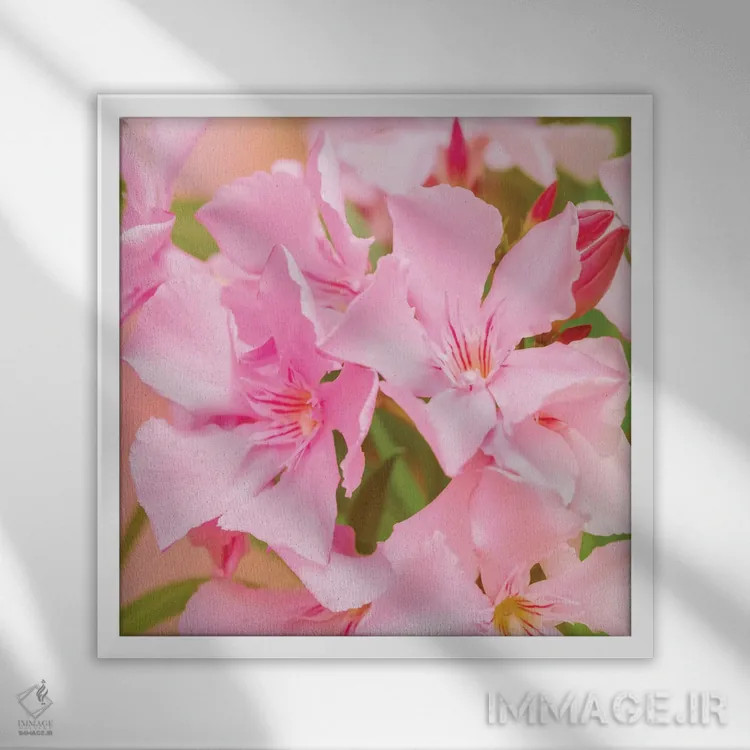 تابلو شور و نشاط اثر بلی - نمای قابدار سفید