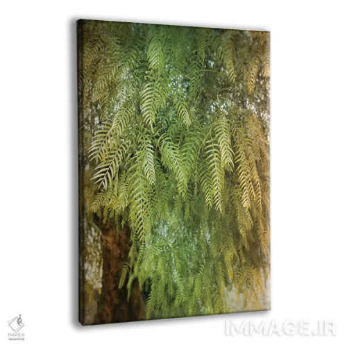 تابلو درخت سبز اثر بلی - نمای پرسپکتیو محصول