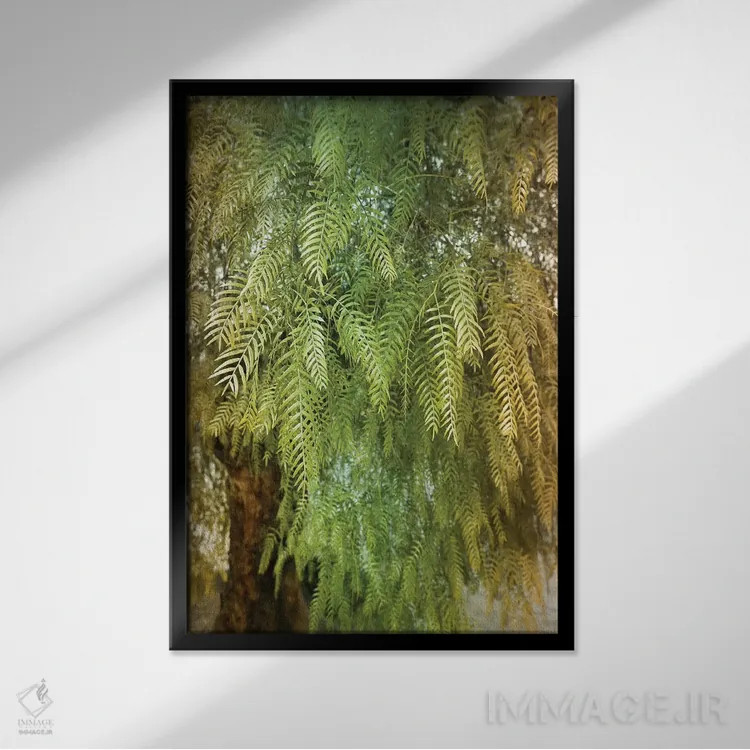 تابلو درخت سبز اثر بلی - نمای قابدار مشکی