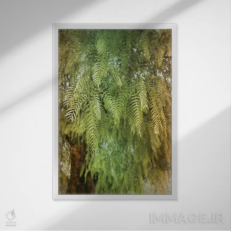 تابلو درخت سبز اثر بلی - نمای قابدار سفید