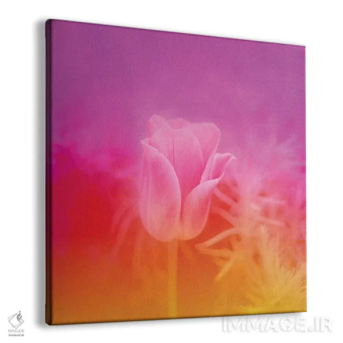 تابلو لالهٔ صورتی اثر بلی - نمای پرسپکتیو محصول