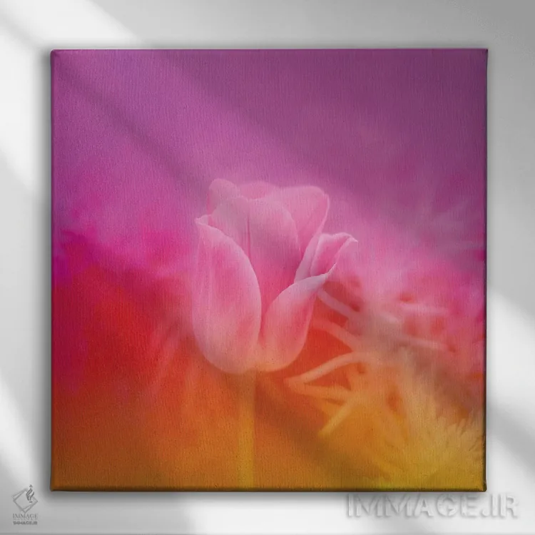 تابلو لالهٔ صورتی اثر بلی - نمای روبهرو روی دیوار
