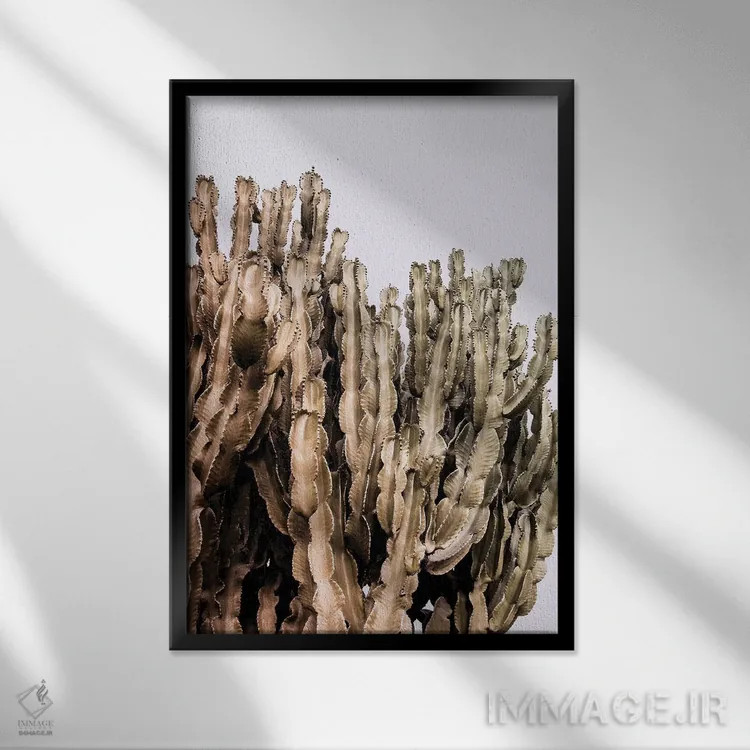 تابلو کاکتوس فلزی اثر بلی - نمای قابدار مشکی