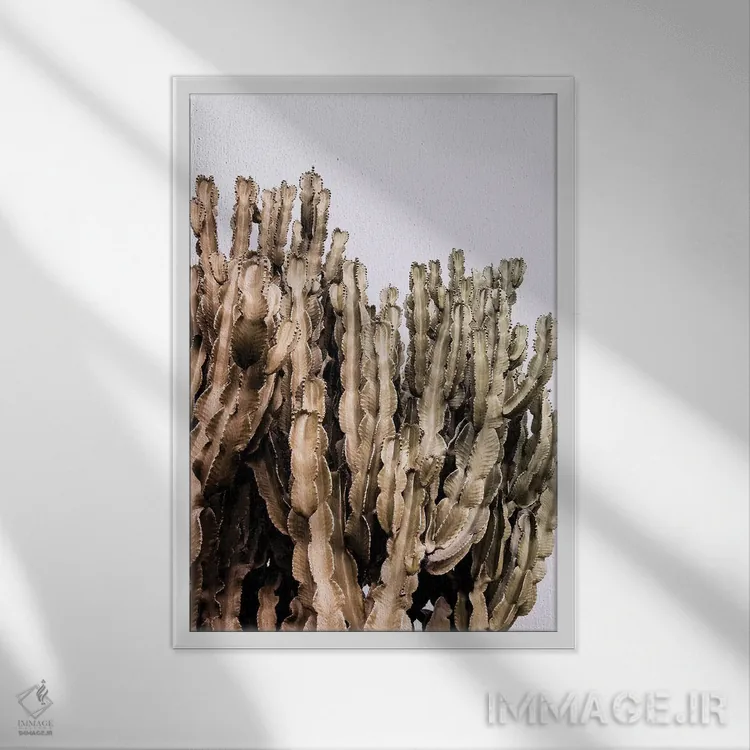 تابلو کاکتوس فلزی اثر بلی - نمای قابدار سفید