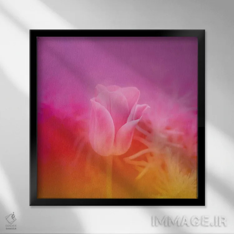 تابلو لالهٔ صورتی اثر بلی - نمای قابدار مشکی