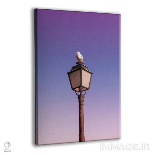 تابلو مرغ دریایی اثر بلی - نمای پرسپکتیو محصول